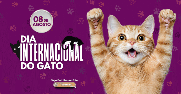 Gato laranja com patas levantadas em comemoração ao Dia Internacional do Gato, com fundo roxo e texto 8 de agosto.