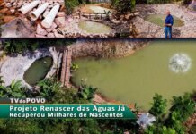 Plantando Água – Projeto Renascer das Águas recupera milhares de nascentes e atende propriedades rurais em Rondônia