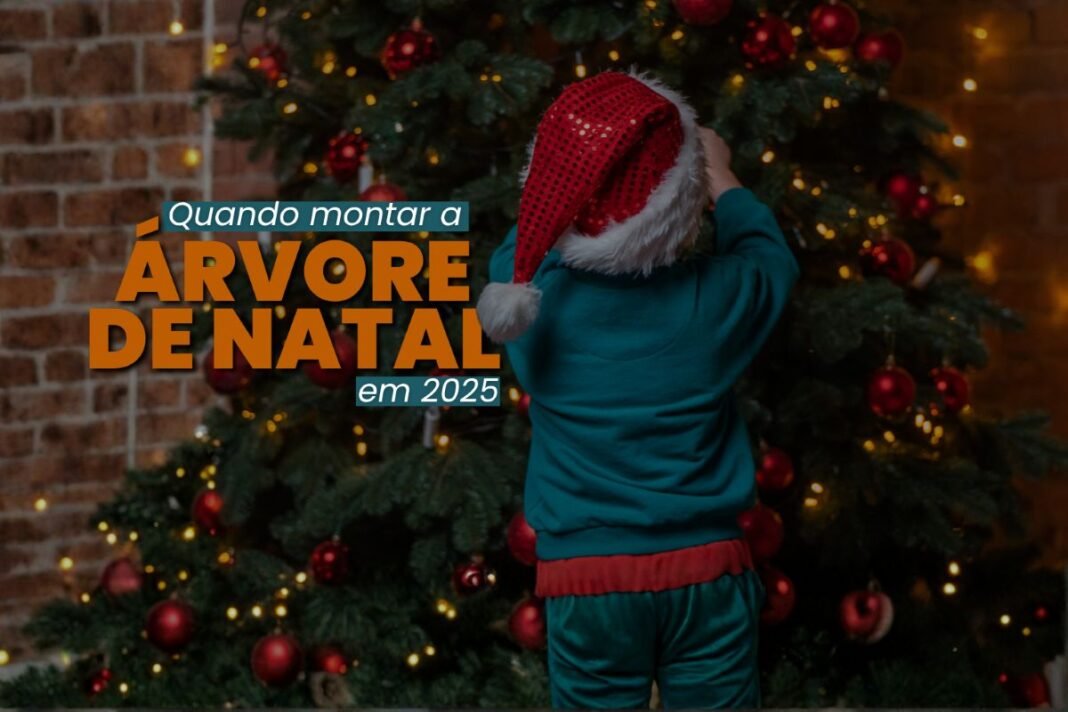 Quando montar a árvore de Natal em 2025: tradição indica data certa