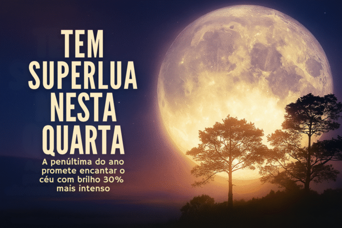 Superlua ilumina o céu de novembro com brilho 30% mais intenso Superlua de novembro aparece gigante e mais brilhante no céu brasileiro, com silhuetas de árvores em primeiro plano
