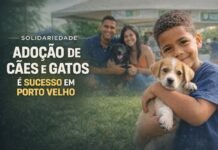 Adoção de cães e gatos é sucesso em feira da Prefeitura de Porto Velho Adoção de cães e gatos em Porto Velho durante feira promovida pela Prefeitura no Parque da Cidade