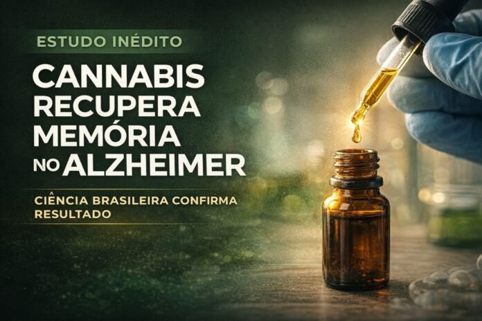 Cannabis recupera memória no Alzheimer em estudo científico brasileiro com uso de THC e CBD