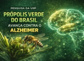 Própolis verde pode ajudar no combate ao Alzheimer, aponta pesquisa da USP Abelha produzindo própolis verde associada a estudo da USP contra Alzheimer