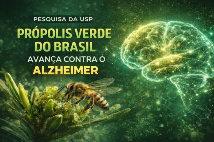 Abelha produzindo própolis verde associada a estudo da USP contra Alzheimer