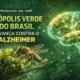 Abelha produzindo própolis verde associada a estudo da USP contra Alzheimer