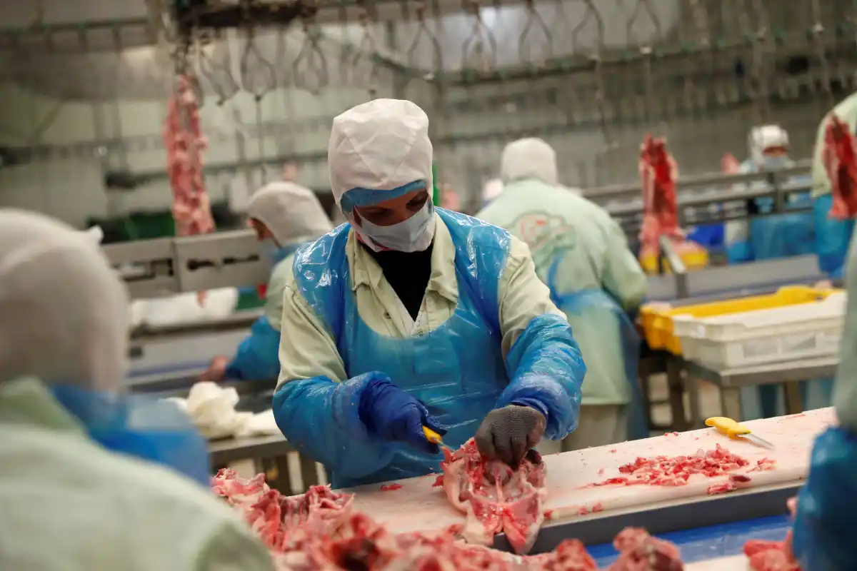 trabalhador processa carne de frango em frigorífico brasileiro voltado para exportação