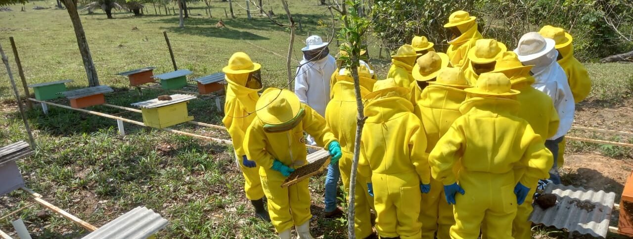 Apicultores em capacitação prática com colmeias em área rural de Porto Velho