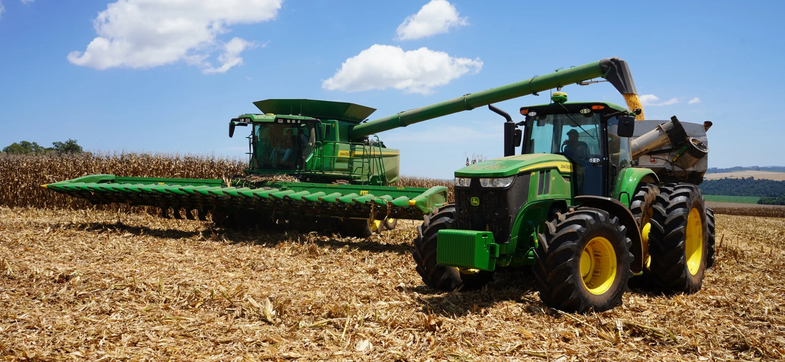 preço do milho influencia a colheita e produção agrícola no Brasil