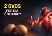 Comer dois ovos por dia é seguro? O que dizem os estudos sobre colesterol e coração Dois ovos ao lado de coração humano ilustrando debate sobre consumo diário e risco cardiovascular