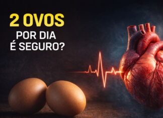 Comer dois ovos por dia é seguro? O que dizem os estudos sobre colesterol e coração Dois ovos ao lado de coração humano ilustrando debate sobre consumo diário e risco cardiovascular
