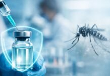 Vacina brasileira contra dengue mostra proteção por 5 anos Vacina da dengue do Butantan protege contra o mosquito Aedes aegypti em estudo científico