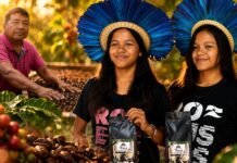 Povos indígenas de Rondônia se destacam na produção agrícola de café produção agrícola de café