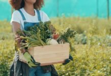 Garantia-Safra beneficia produtores em abril em 10 estados brasileiros garantia-safra