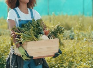 Garantia-Safra beneficia produtores em abril em 10 estados brasileiros garantia-safra