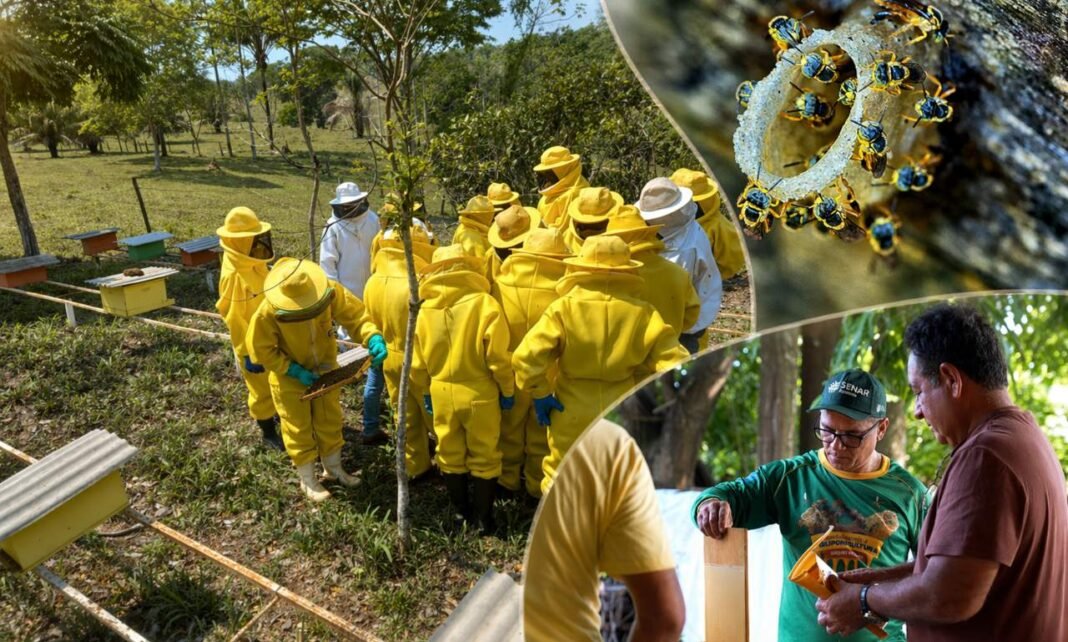 cadastro de produtores de mel