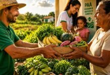 PAA começa entregas em Colorado do Oeste e reforça renda rural no Cone Sul PAA em colorado do oeste