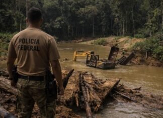 PF destrói ponte clandestina e apreende equipamentos do garimpo ilegal em Rondônia garimpo ilegal em RO