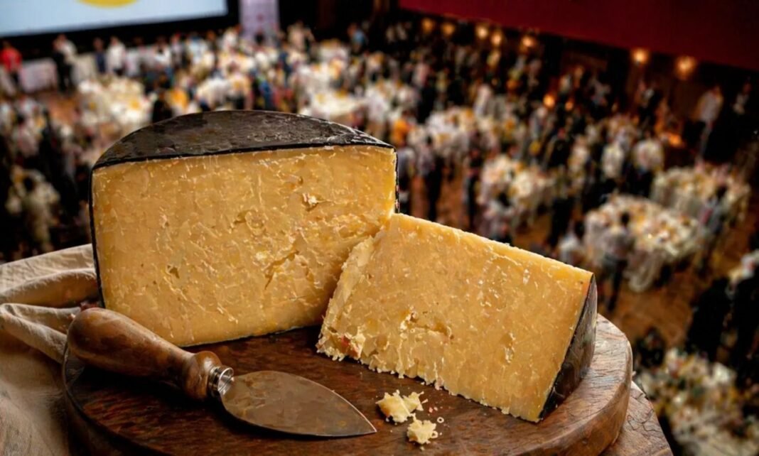 queijo de SC é eleito o melhor do mundo