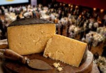 Queijo de SC é eleito o melhor do mundo em concurso internacional queijo de SC é eleito o melhor do mundo