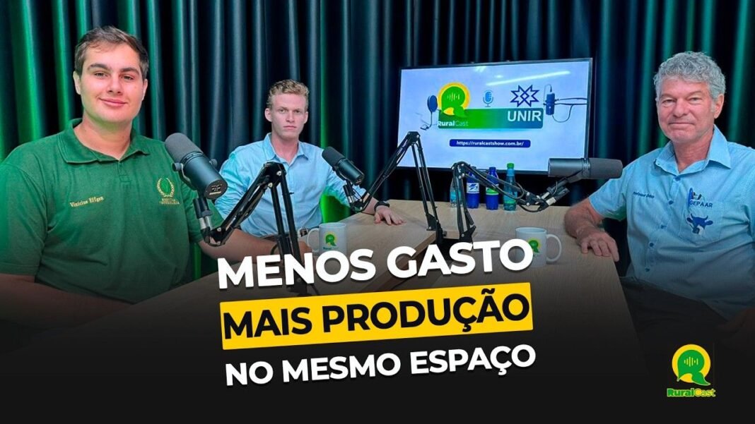 Assista: Gliricídia pode reduzir custos e aumentar a produção no agro