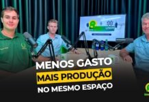Assista: Gliricídia pode reduzir custos e aumentar a produção no agro Gliricídia no agro é tema do RuralCast sobre redução de custos e aumento da produção rural
