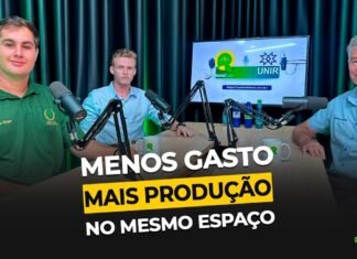 Assista: Gliricídia pode reduzir custos e aumentar a produção no agro Gliricídia no agro é tema do RuralCast sobre redução de custos e aumento da produção rural