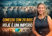 Do zero ao agro Michelly Krause revela trajetória no Norte Michelly Krause conta trajetória de superação no agro em Rondônia