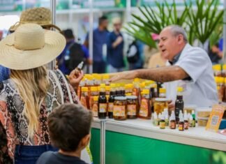 Rondônia inicia a semana com mais de 2,2 mil vagas de Emprego vagas de emprego em Rondônia em atendimento de feira de empregabilidade com candidatos e recrutador