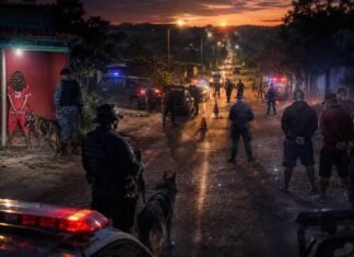 Operação nacional mira facções e crimes de fronteira em Rondônia Operação policial em Rondônia com agentes, viaturas, suspeitos detidos e cão policial durante ação contra facções e crimes de fronteira