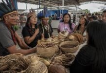 Povos indígenas terão espaço de destaque na maior feira agro da Região Norte Produção indígena em Rondônia em espaço de feira agropecuária amazônica durante a Rondônia Rural Show 2026