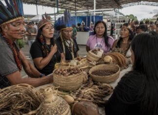 Povos indígenas terão espaço de destaque na maior feira agro da Região Norte Produção indígena em Rondônia em espaço de feira agropecuária amazônica durante a Rondônia Rural Show 2026