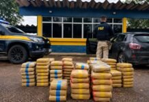 Skunk na BR-364: PRF apreende quase 175 kg após abordagem Skunk na BR-364 apreendido pela PRF durante fiscalização com viatura, carro abordado e tabletes de droga