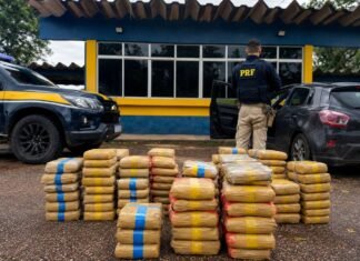 Skunk na BR-364: PRF apreende quase 175 kg após abordagem Skunk na BR-364 apreendido pela PRF durante fiscalização com viatura, carro abordado e tabletes de droga