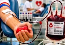 Estoques de sangue A-, B- e O- precisam de reforço em Rondônia Doação de sangue em Rondônia com bolsa de sangue e doador em hemocentro