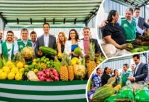 Governo amplia recursos para cisternas e produção rural na Paraíba agricultura familiar da paraíba