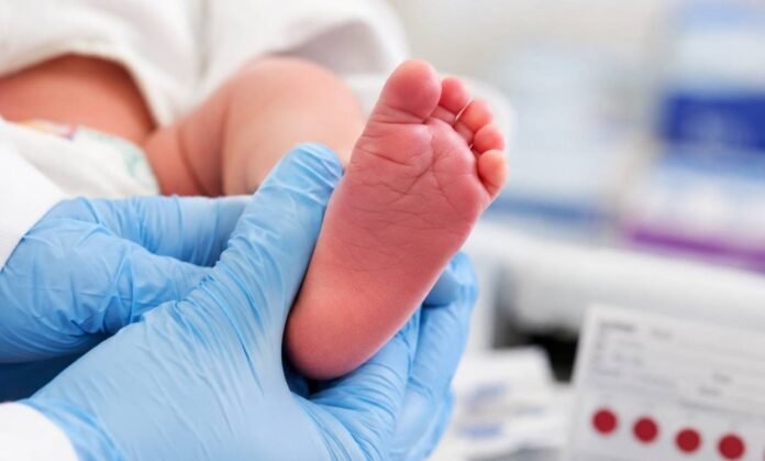 Teste do pezinho completa 25 anos no Brasil Teste do pezinho em recém-nascido durante triagem neonatal no Brasil
