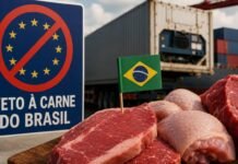 União Europeia confirma restrição à carne brasileira em setembro Veto à carne do Brasil pela União Europeia afeta exportações de produtos de origem animal