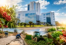 Ações da Assembleia Legislativa fortalecem municípios, produtores e famílias em Rondônia Ações da Assembleia Legislativa fortalecem municípios, produtores e famílias em Rondônia