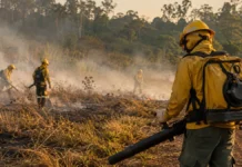 Último dia: Bombeiros recebem inscrições para 270 brigadistas em Rondônia Brigadistas em Rondônia atuando no combate a incêndio florestal