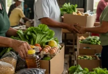 Produtores rurais de Vilhena terão R$ 500 mil em compra de alimentos Produtores rurais de Vilhena expõem alimentos locais que serão comprados pelo PMAA 2026.