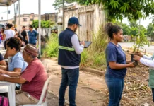 Porto Velho terá mutirão de serviços, fiscalização nos bairros e ações contra queimadas Serviços em Porto Velho reúnem atendimento à população, fiscalização urbana e entrega de mudas em bairros e distritos