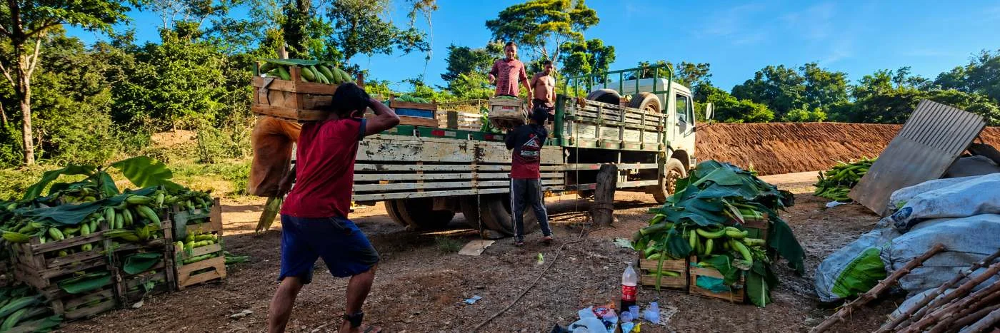 Agricultores familiares organizam caixas de alimentos para transporte em Porto Velho