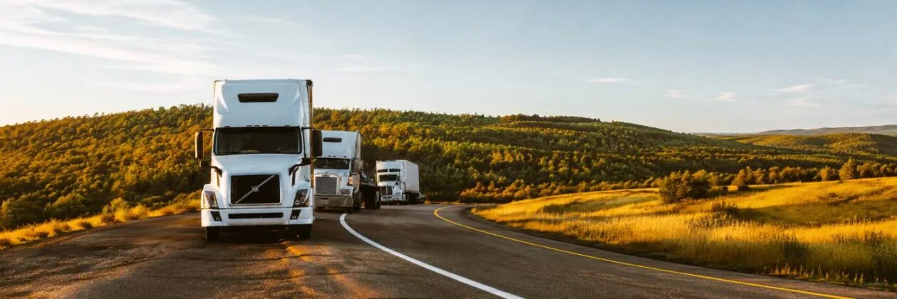 Caminhões de carga trafegam por rodovia de Rondônia após controle de peso na origem