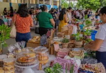 Feira da Semed valoriza servidores empreendedores em Porto Velho Servidor empreendedor em Porto Velho participa de feira com produtos artesanais e alimentos