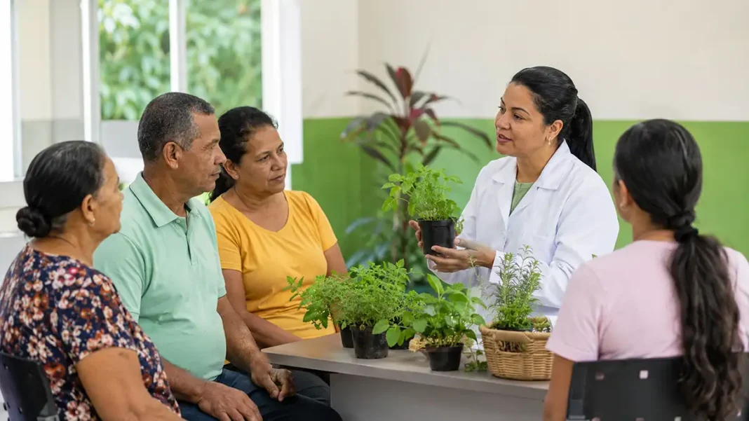 Ji-Paraná inicia fitoterapia com orientação segura nas UBS