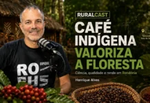 Henrique Alves explica como o café indígena valoriza a floresta Henrique Alves participa do RuralCast sobre café indígena em Rondônia, Embrapa, Robustas Amazônicos e preservação da floresta