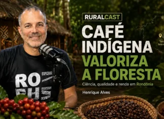 Henrique Alves explica como o café indígena valoriza a floresta Henrique Alves participa do RuralCast sobre café indígena em Rondônia, Embrapa, Robustas Amazônicos e preservação da floresta