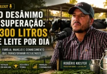 Rogério Kiester conta como superou 300 litros de leite por dia Rogério Kiester participa do RuralCast sobre pecuária leiteira em Rondônia, assistência técnica e produção de mais de 300 litros de leite