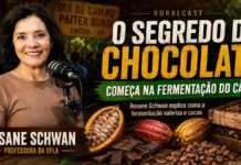 Rosane Schwan explica por que o cacau fermentado valoriza o chocolate Capa do RuralCast com Rosane Schwan sobre cacau fermentado, chocolate de qualidade e produção em Rondônia