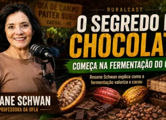 Rosane Schwan explica por que o cacau fermentado valoriza o chocolate Capa do RuralCast com Rosane Schwan sobre cacau fermentado, chocolate de qualidade e produção em Rondônia